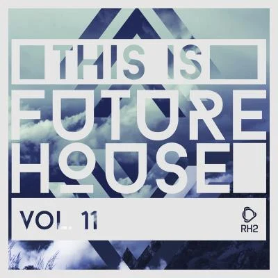 Ryan KonlineAndrew BensonThis Is Future House, Vol. 11