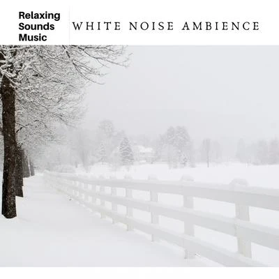 White Noise Radiance/Bamboo Water Fountain/Best Relaxation MusicWhite Noise Ambience