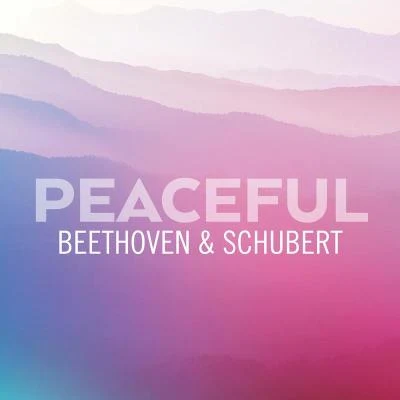 Enrica Cavallo/Franco GulliPeaceful Beethoven & Schubert