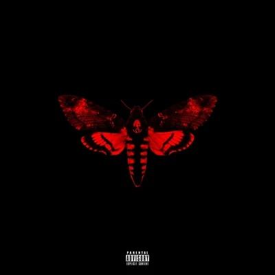 Lil WayneI Am Not A Human Being II (Deluxe)