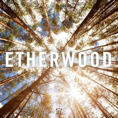 EtherwoodEtherwood