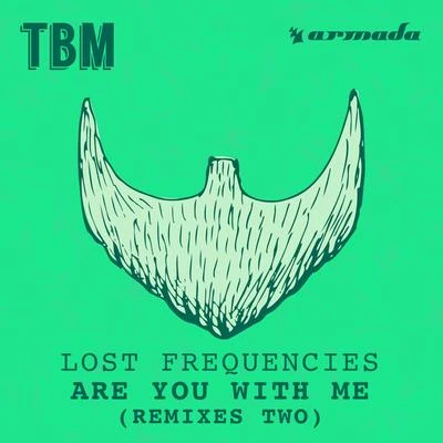 Lost Frequencies/Everyone You KnowAre You With Me (Remixes Two)