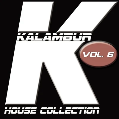 FalconKalambur House Collection, Vol. 6