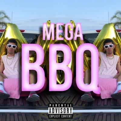 Mega/Ichika/Mashilo/Sithu Aye/Neko HackerBBQ