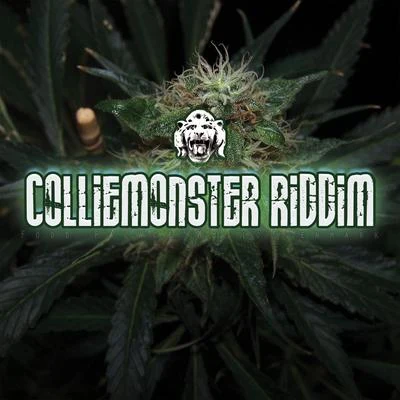 PharfarColliemonster Riddim