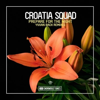 NICK LONDON/Croatia Squad/Lika Morgan/EDX/Sugarstarr/Nora En Pure/Tom Tyler/Dont Look Now/Me & My Toothbrush/EarstripPrepare for the Night (Yvvan Back Remixes)