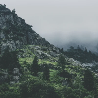 A Sudden Rainstorm/Deep Sleep Music Experience/Sonido Del Bosque y NaturalezaMeditation Sounds to Rest