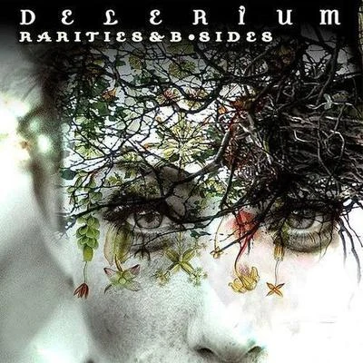 Delerium/至善合唱團/Enigma/flowers/Elonia/The Sacred Ones/Eona/Dao Dezi/Schiller/KaruneshRarities & B-Sides