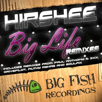 HirsheeBig Life Remixes