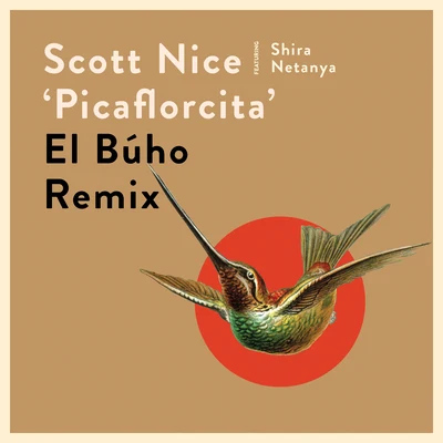 Scott NicePicaflorcita (El Búho Remix)