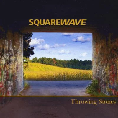 SquarewaveThrowing Stones