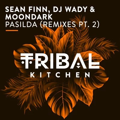 Sean FinnPasilda (Remixes Pt. 2) [Radio Edits]