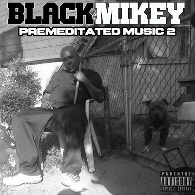 Black MikeyPremeditated Music 2