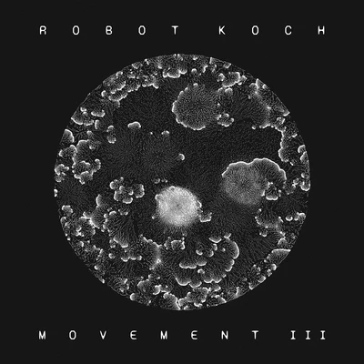 Robot KochNumaadsMovement III