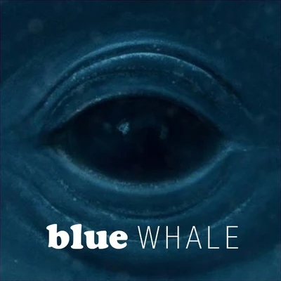 Frank OceanBlue Whale