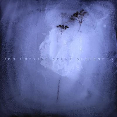 Jon HopkinsScene Suspended