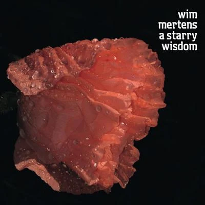 Wim MertensA Starry Wisdom