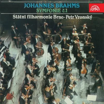 Petr Vronsky/Gheorghe Zamfir/Lawrence Foster/English Chamber Orchestra/Studio orchestra/James Judd/Monte Carlo Philharmonic Orchestra/Harry van Hoof/Harry van Hoof Orkest/Orchestre du Théatre National de PragueBrahms: Symphony No. 1