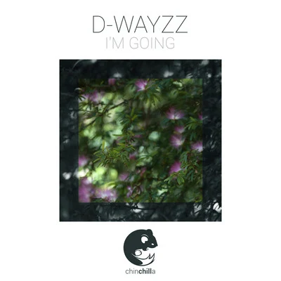 D-WAYZZIm Going