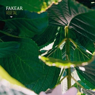 FakearVegetal: Offshoots EP