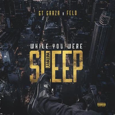 GT Garza/Kap G/BaezaWhile You Were Sleep