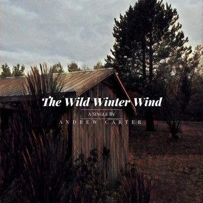 Andrew CarterThe Wild Winter Wind