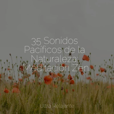 Música para Meditar y Relajarse/Musica Para Meditar35 Sonidos Pacíficos de la Naturaleza: Meditación Zen