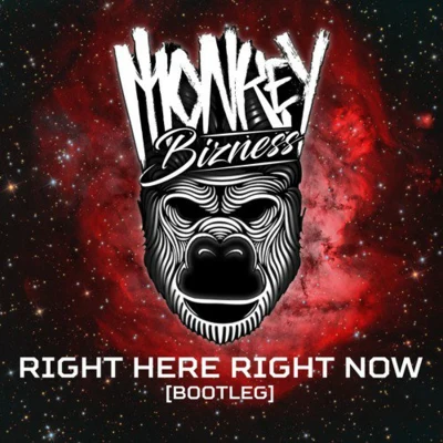 Monkey BiznessRight Here, Right Now (Bootleg)