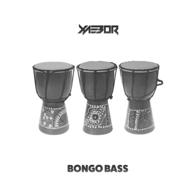 XaeboRBongo Bass