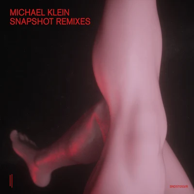 Michael KleinSnapshot - Remixes