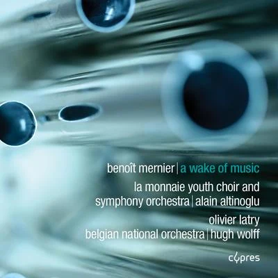 Olivier Latry/Riccardo Chailly/Alexei Grynyuk/Heinrich Schiff/Steve Reich/Berliner Philharmoniker/Claudio Abbado/Gidon Kremer/Paul McCreesh/Håkan HardenbergerBenoît Mernier: A Wake of Music