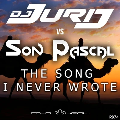 Dj Jurij/AKI Amano/Vá/Schaufler/J/Digital Project/Jochen Miller/Quilla/Feenixpawl/Quintino & BlasterjaxxThe Song I Never Wrote