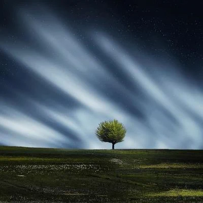 Lluvia RelajanteNaturezaPiano para Dormir25 Sonidos De Tranquilidad Para Un Buen Descanso Nocturno