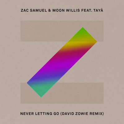 Zac SamuelKaren HardingNever Letting Go (David Zowie Remix)