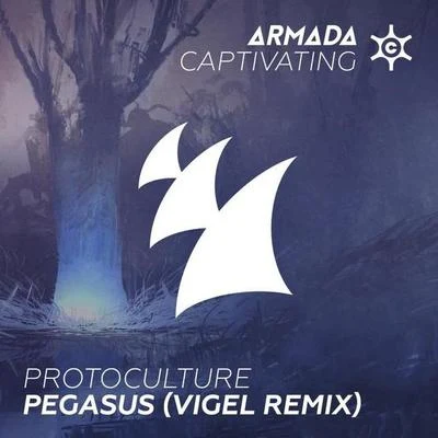 Vigel/Tom SwoonPegasus (Vigel Remix)