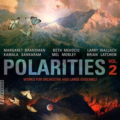 Franko BozacPolarities, Vol. 2