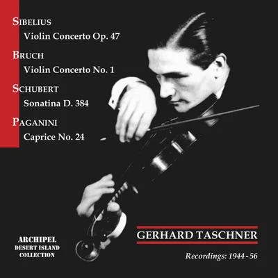 Gerhard TaschnerSibelius, Bruch, Schubert & Paganini: Violin Works