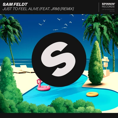 Sam Feldt/Dermot KennedyJust To Feel Alive (Remix)