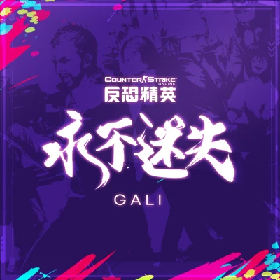 GALI永不迷失