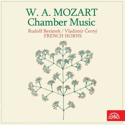 Petr SprunkMozart: Chamber Music