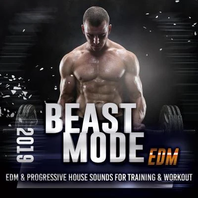 AllenxNorah B.Quintino & BlasterjaxxSkelectroBeast Mode EDM 2019 - Edm & Progressive House Sounds For Training & Workout