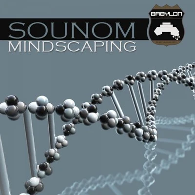 SounomMindscaping