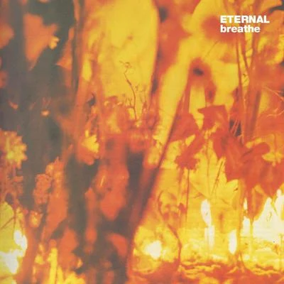 Eternal/GT Garza/Lil BingBreathe