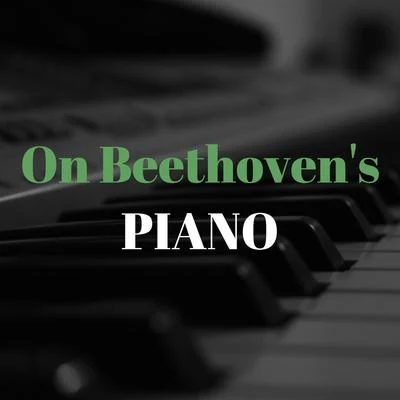 Inger SodergrenOn Beethovens Piano