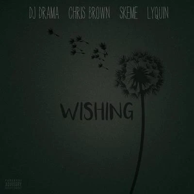 Dj Drama/Nasty C/Major League DjzWishing (feat. Chris Brown, Skeme & Lyquin)