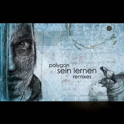 PolygonSein Lernen Remixes