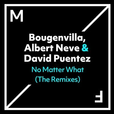 David Puentez/Albert NeveNo Matter What (The Remixes)