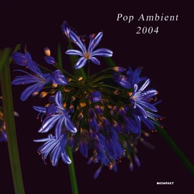 DiversePop Ambient 2004