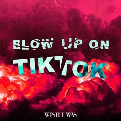 Wish I Was/tyDi/Geena FontanellaBlow Up On Tik Tok