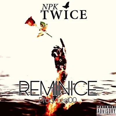 NPK TwiceReminice